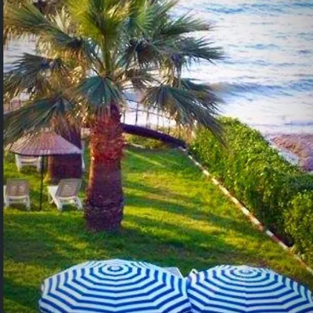 Art Beach *