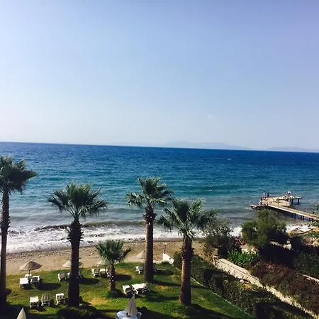 Hotel Art Beach *