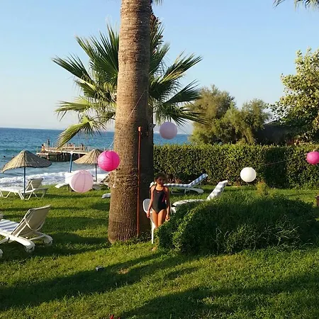 Art Beach