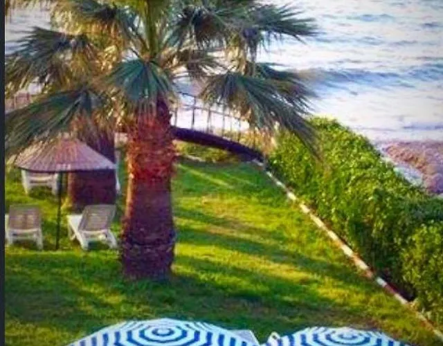 Art Beach *