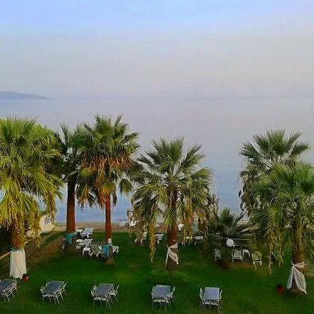 Art Beach *