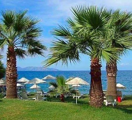 Art Beach Guzelcamli