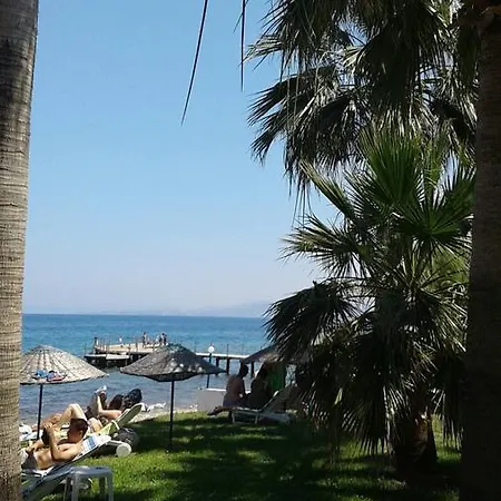 Art Beach