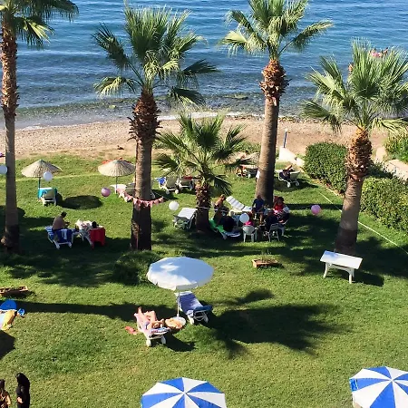 Hotel Art Beach *