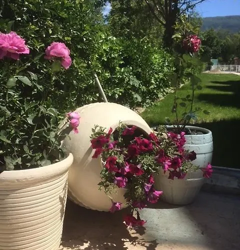 Ξενοδοχείο Art Beach *